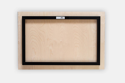 Newfoundland Metal print