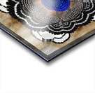 Hawk Bloom Acrylic print