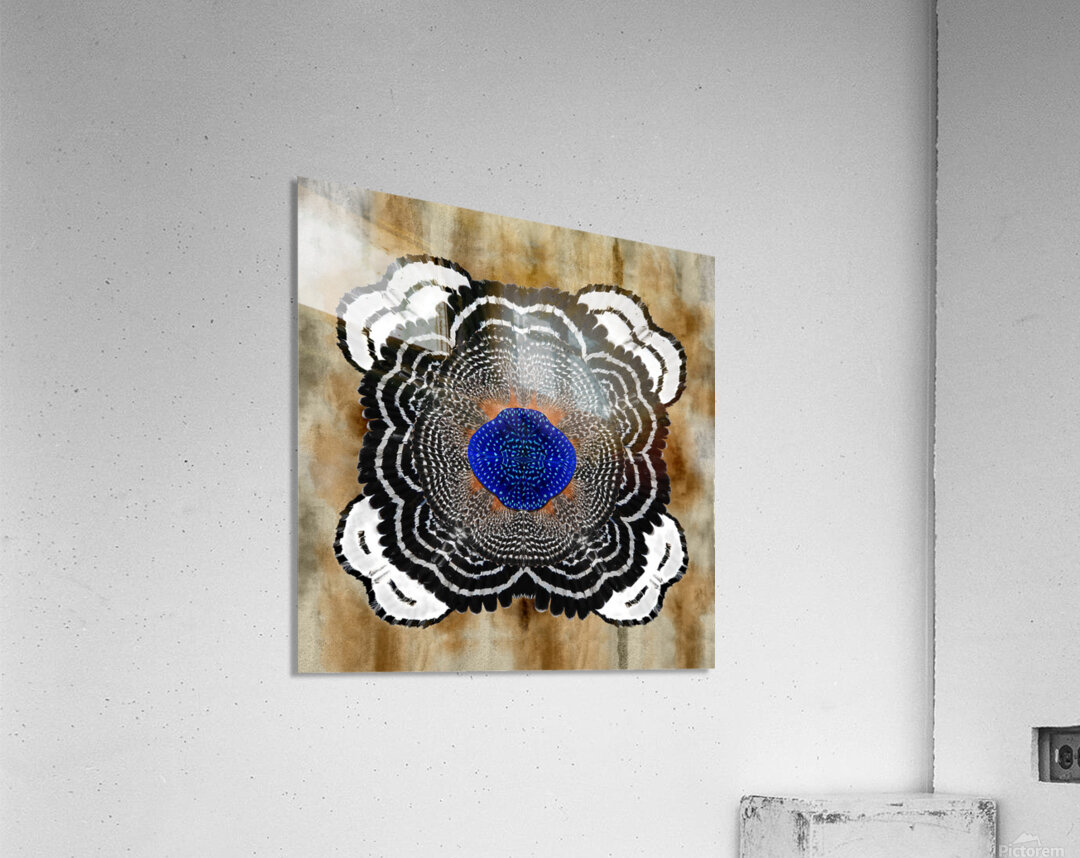 Hawk Bloom Acrylic Print