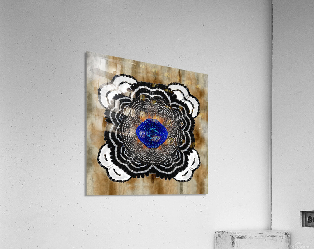 HAWK BLOOM I Acrylic Print