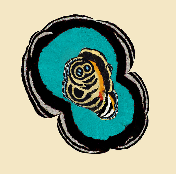 Memoir of the Eighty Eights Print