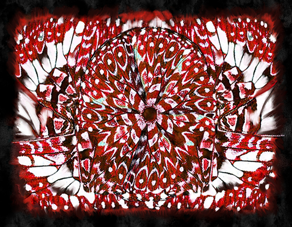 Cherry Blossom in Spring Print