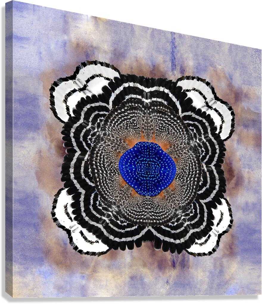 A Cascade of Plumage Canvas Print