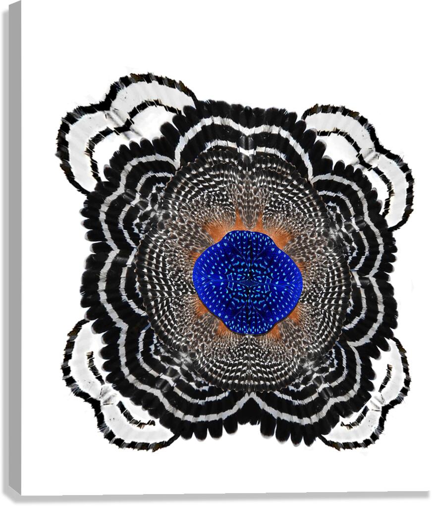 Flowerbird Canvas Print