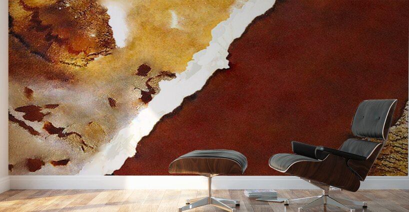 Red Desert Wall Murals