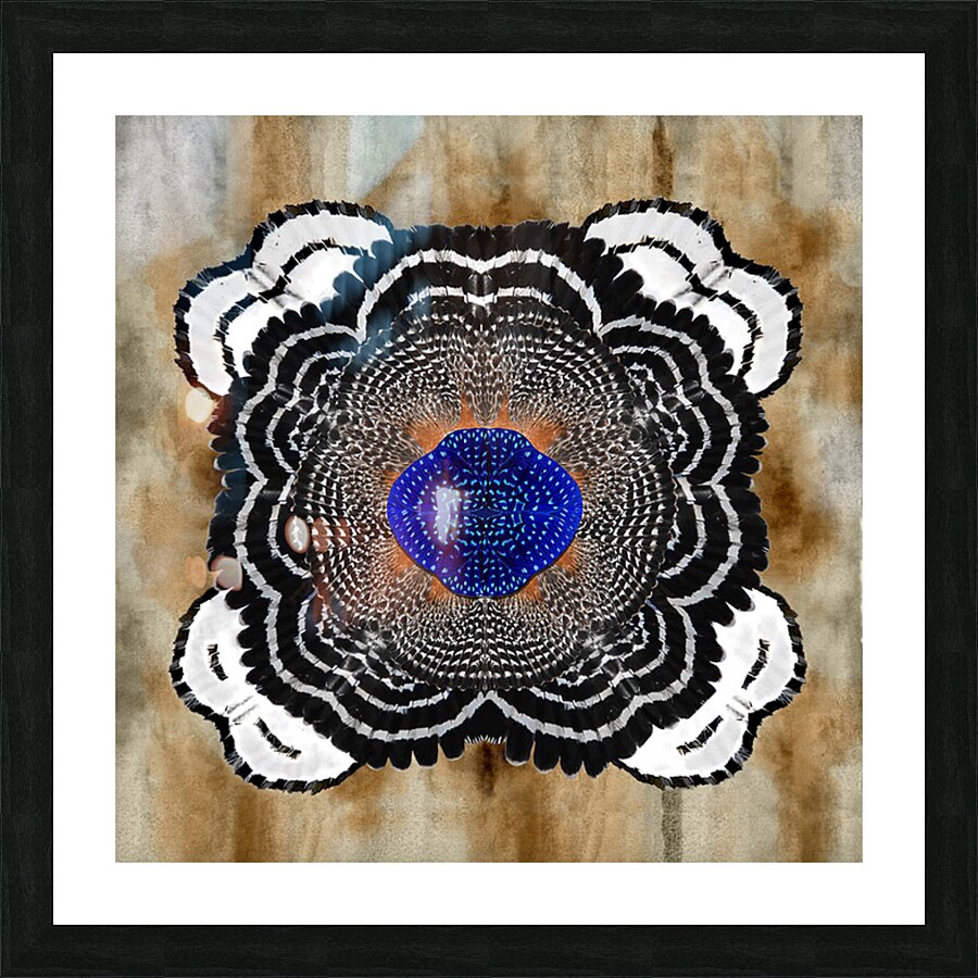 Hawk Bloom Picture Frame print