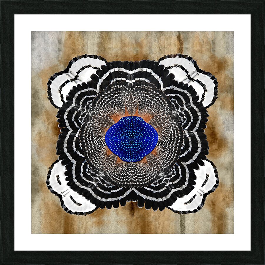 HAWK BLOOM I Picture Frame print