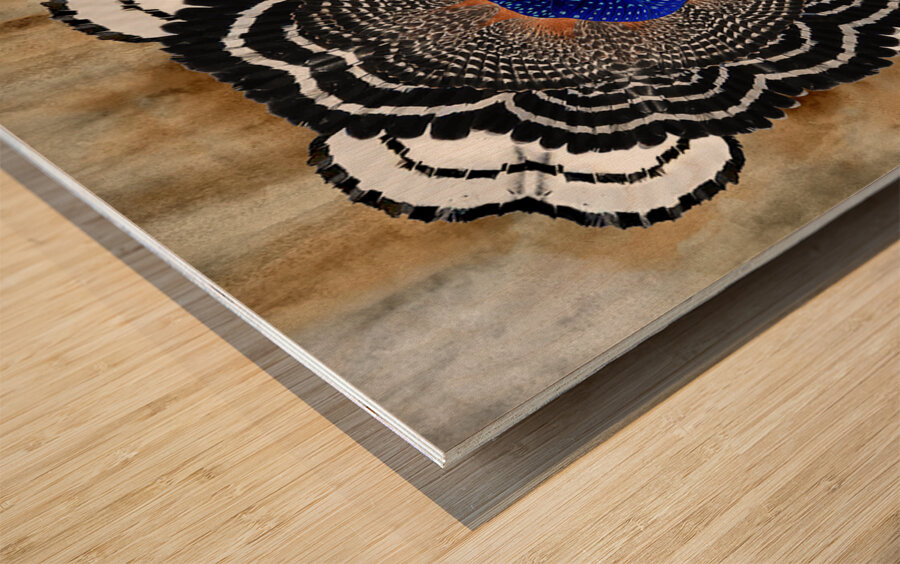 Hawk Bloom Wood print